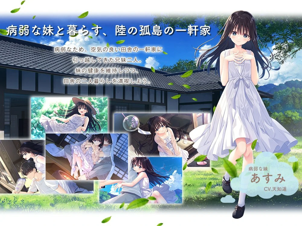 【爆款RPG全CV】痴情哥哥与病弱妹妹的乡间生活 骑 ty模拟器玩-大壮社区